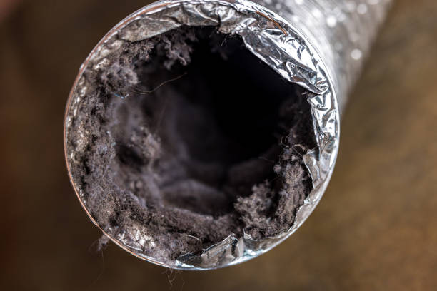 Best Air Duct Cleaning Company Near Me  in Tulare, CA